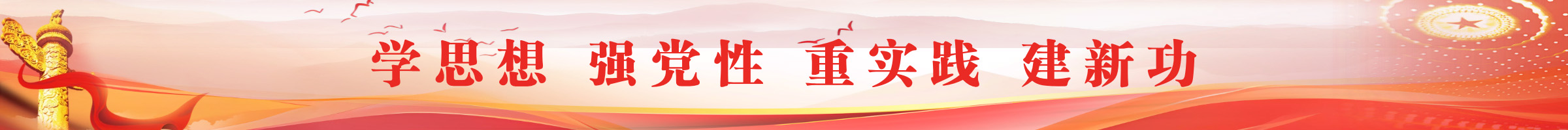 學思想 強黨性 重實踐 建新功